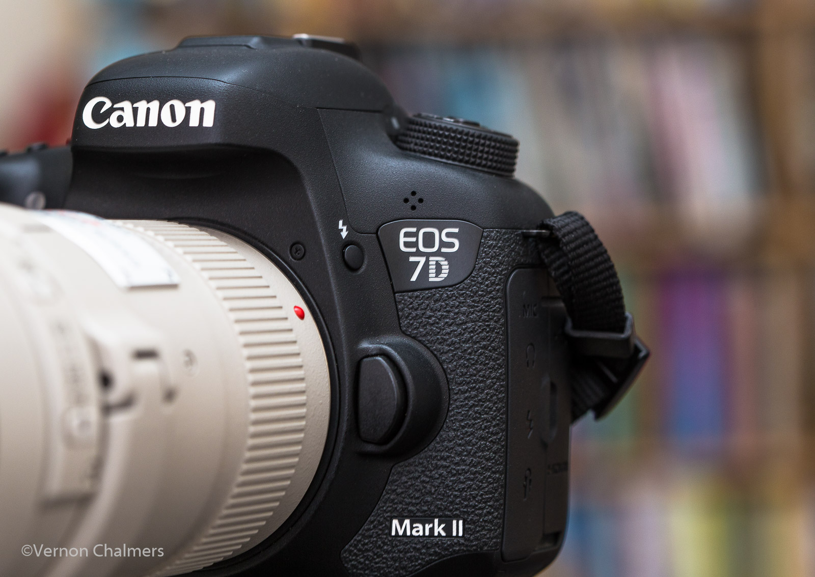 Vernon Chalmers Photography Training: Canon EOS 7D Mark II - First 